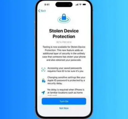 黔西南苹果授权维修店分享被盗设备保护功能开启方法 