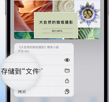 黔西南apple维修中心分享iPhone文件应用中存储和找到下载文件