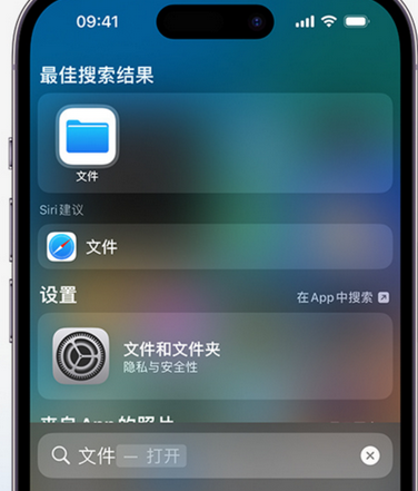 黔西南apple维修中心分享iPhone文件应用中存储和找到下载文件 