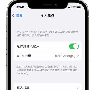 黔西南apple服务站点分享iPhone上个人热点丢失了怎么办