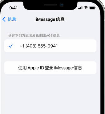 黔西南apple维修iPhone上无法正常发送iMessage信息