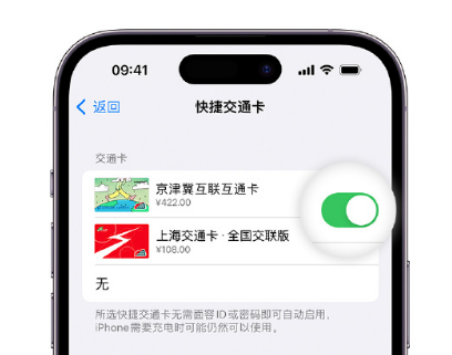 黔西南apple维修点分享iPhone上更换Apple Pay快捷交通卡手绘卡面 