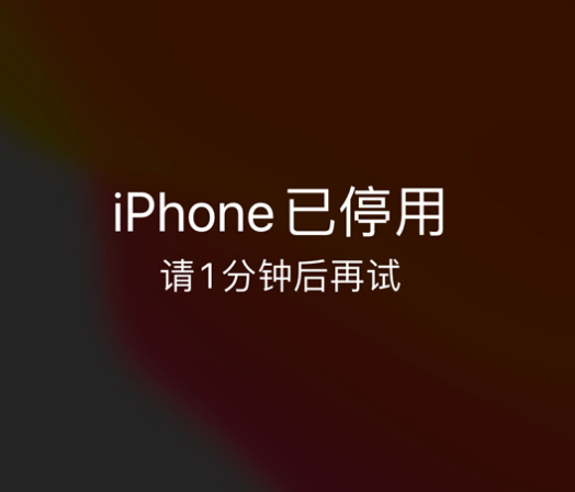 黔西南苹果手机维修分享:iPhone 显示“不可用”或“已停用”怎么办？还能保留数据吗？ 