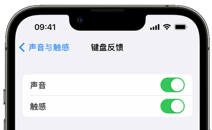 黔西南苹果手机维修分享iPhone 14触感键盘使用方法 