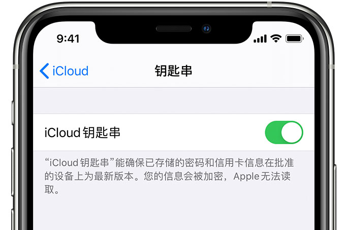 黔西南苹果手机维修分享在 iPhone 上开启 iCloud 钥匙串之后会储存哪些信息 