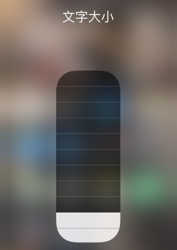 黔西南苹果手机维修分享小技巧：在 iPhone 控制中心快速调节字体大小 