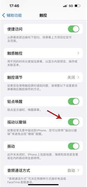 黔西南苹果手机维修分享iPhone手机如何设置摇一摇删除文字 