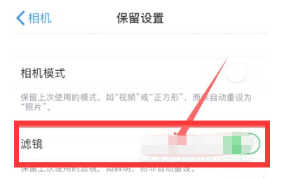 黔西南苹果13维修分享iPhone13拍照有绿点是怎么回事 