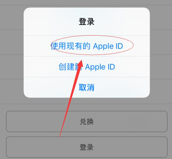黔西南苹果手机维修分享两台iPhone设备可以同时登录一个Apple ID吗 